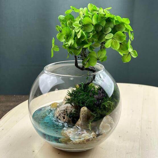 Моссариум «Мини Гортензия»