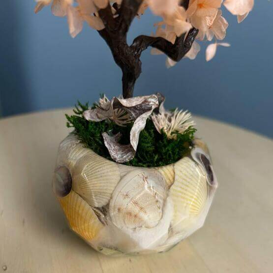 Бонсай мини Гортензия