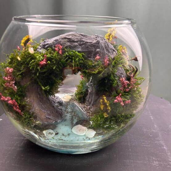 Моссариум «Арка»