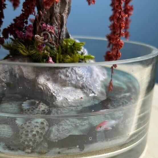 Моссариум Красная Ива с Рыбками