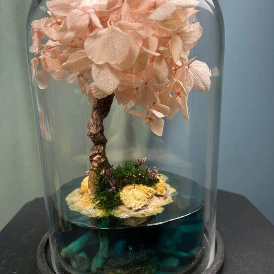 Моссариум "Остров Сакуры"