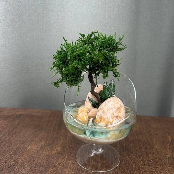 Моссариум «Анабель»