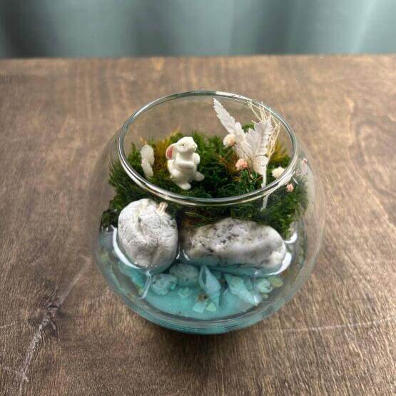 Моссариум мини