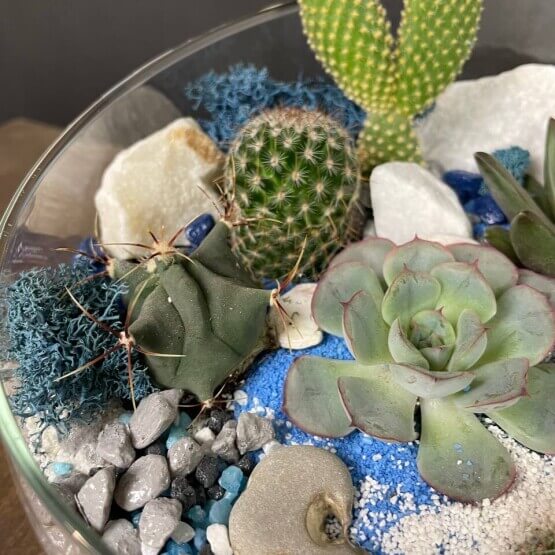 Флорариум "Голубая лагуна"