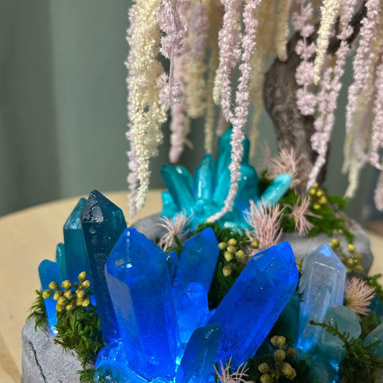 Бонсай из стаб растений "Эйва"