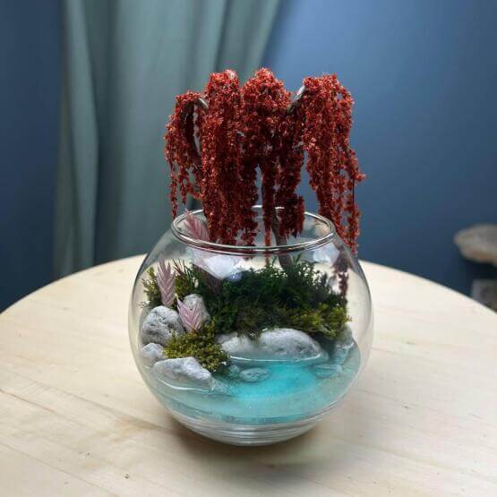 Моссариум мини Ива плакучая