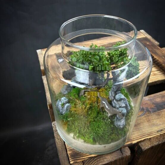 Моссариум "Руины"