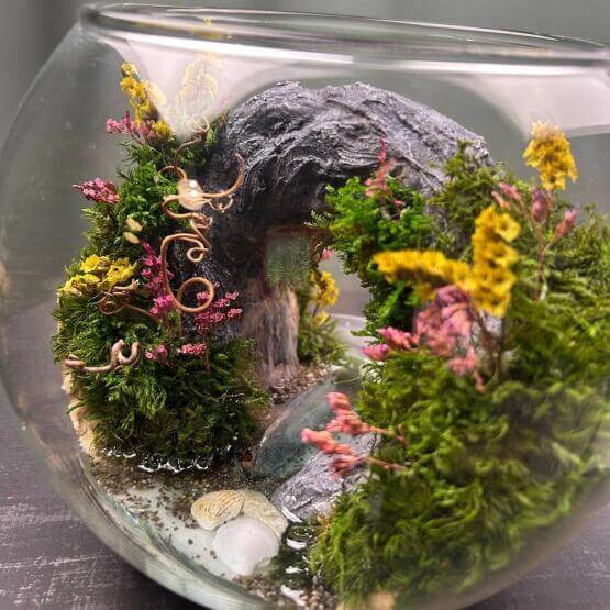 Моссариум «Арка»