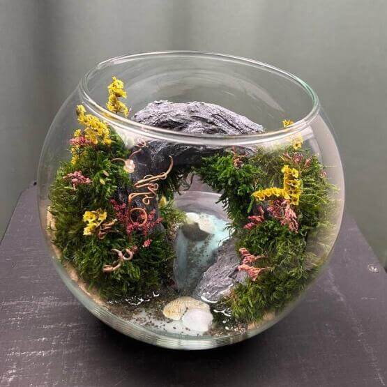 Моссариум «Арка»