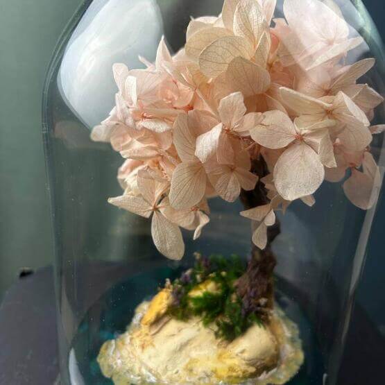 Моссариум "Остров Сакуры"