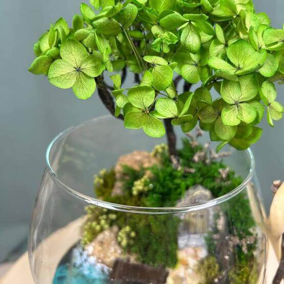 Домик Хоббита