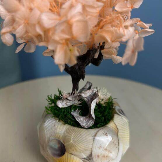 Бонсай мини Гортензия