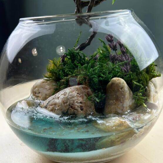 Моссариум «Мини Гортензия»