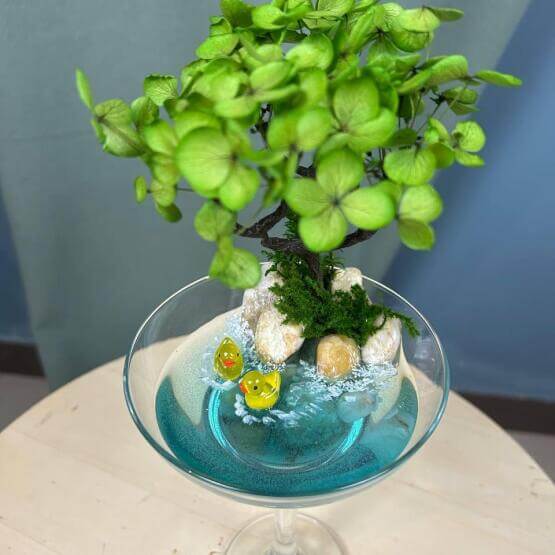 Моссариум "Летний Оазис"