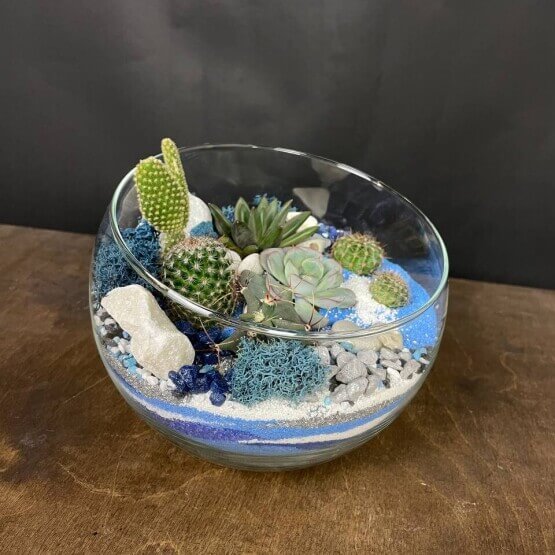 Флорариум "Голубая лагуна"