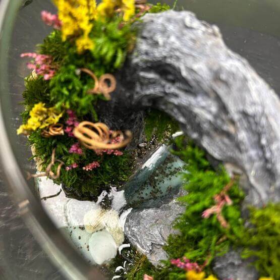 Моссариум «Арка»