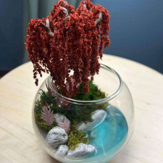 Моссариум мини Ива плакучая