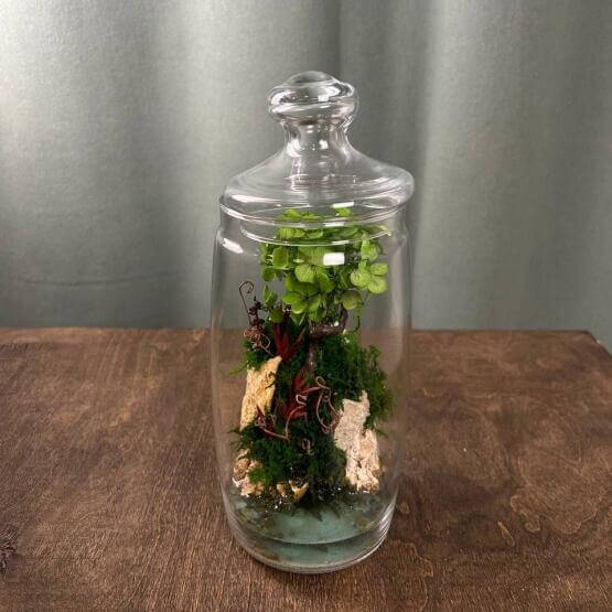 Моссариум в колбе