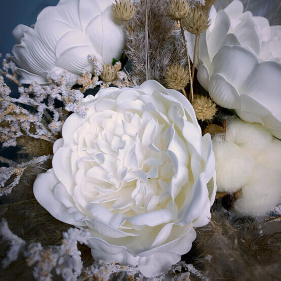 Снежный пион