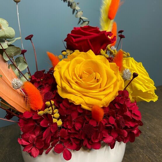 Стабилизированная красота