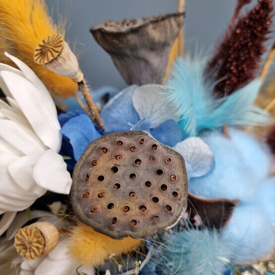 Голубой дракон