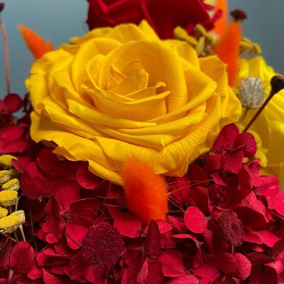 Стабилизированная красота