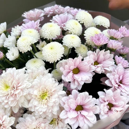 Микс кустовых хризантем