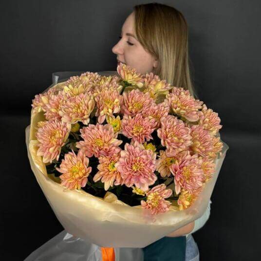 Моно персиковых хризантем