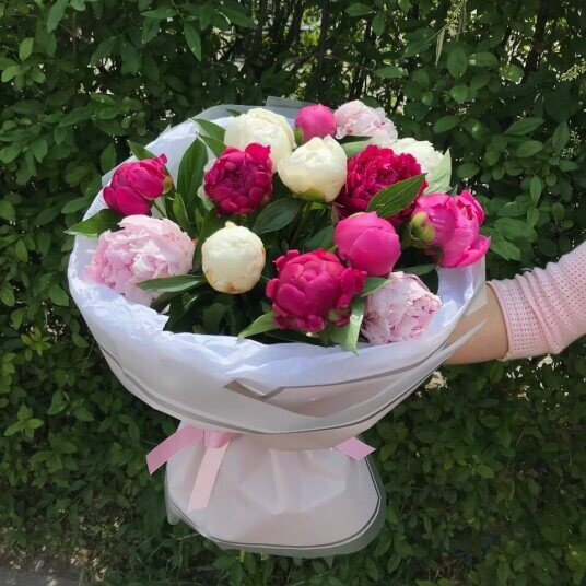 Микс пионов