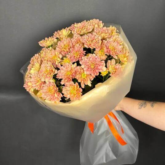 Моно персиковых хризантем