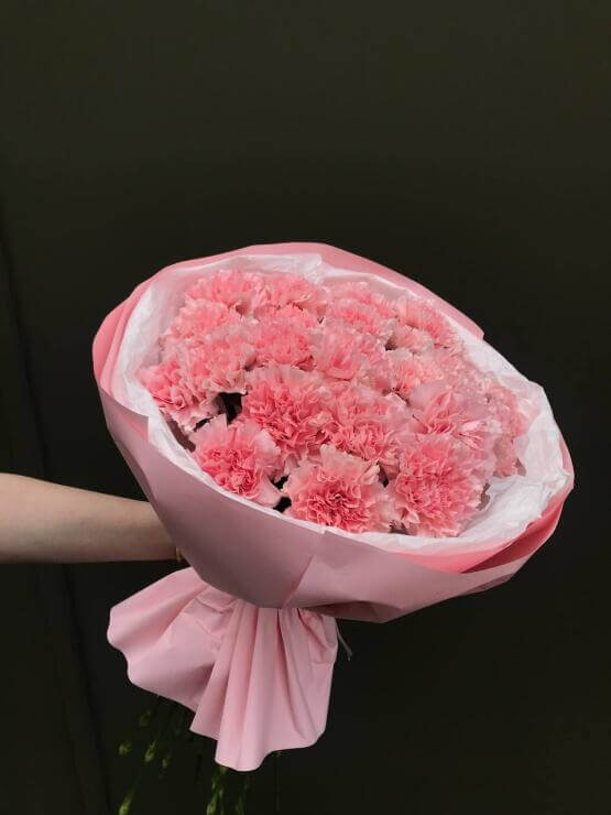 Моно розовых диантусов