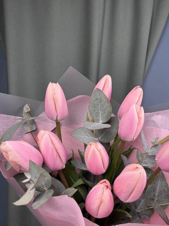 Нежно-персиковые тюльпаны