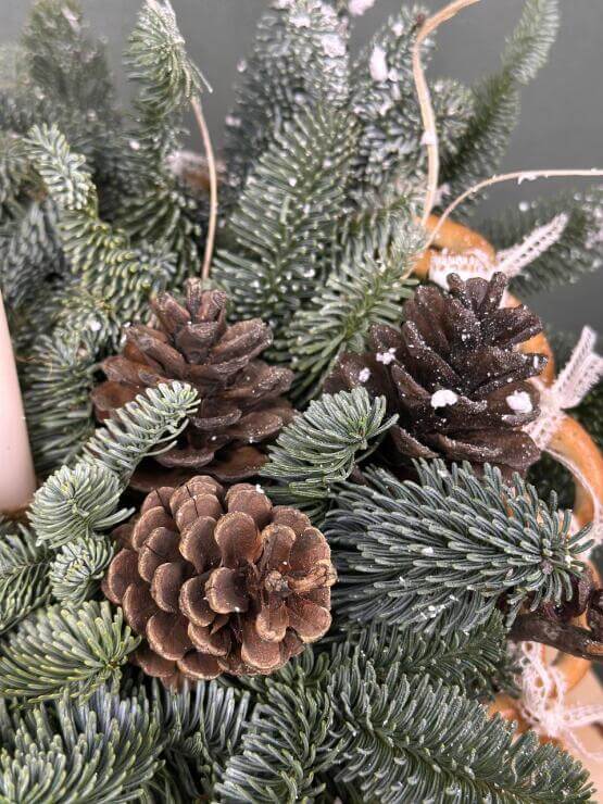 Лесное сияние