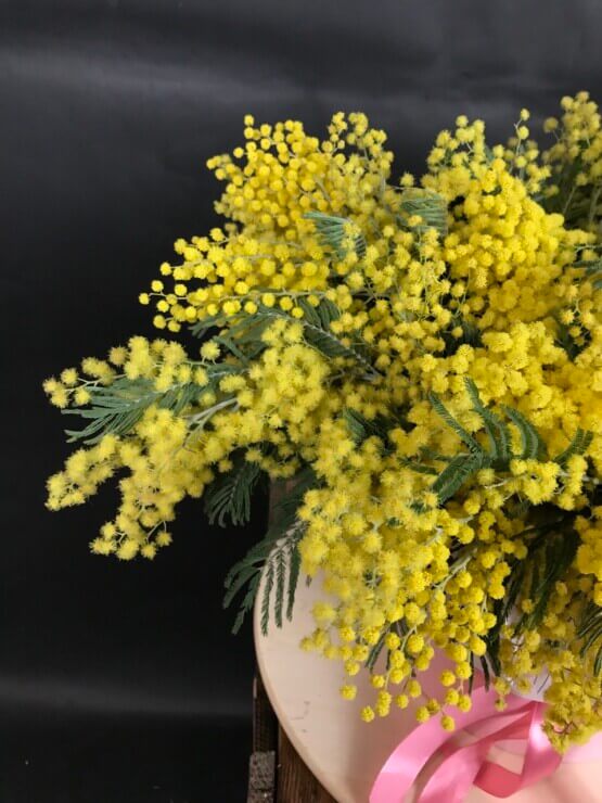 Цитрусовое счастье