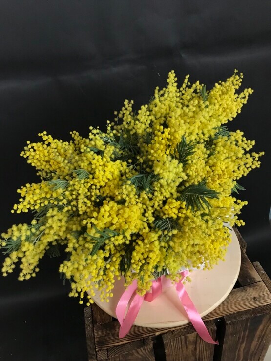 Цитрусовое счастье