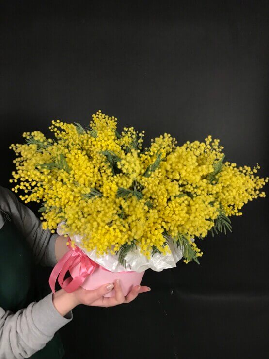 Цитрусовое счастье