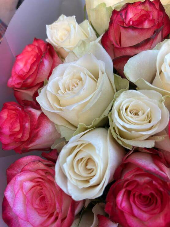 Вместо тысячи слов