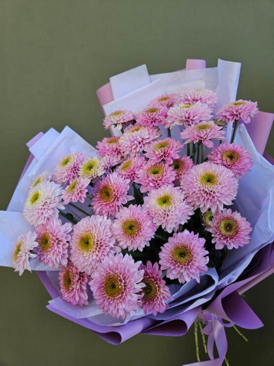 Моно букет хризантем "Пуговки"