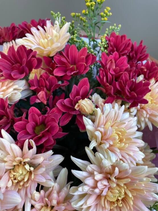 Букет из хризантем "Глинтвейн с медом"