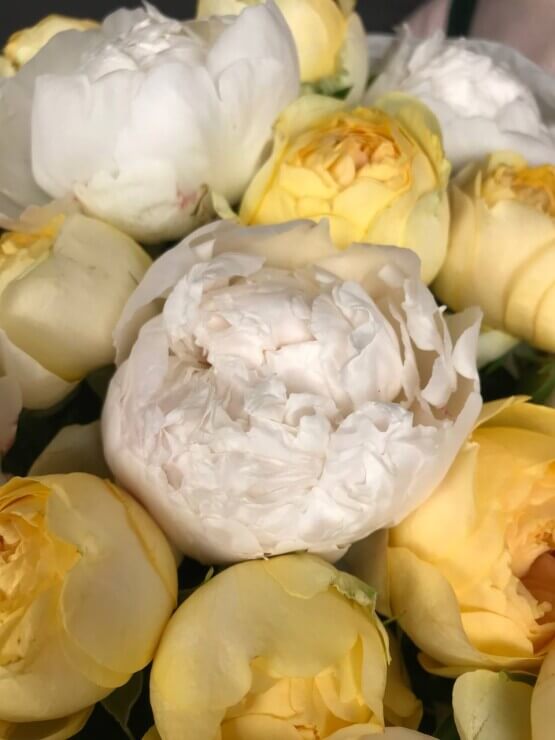 Летнее солнце