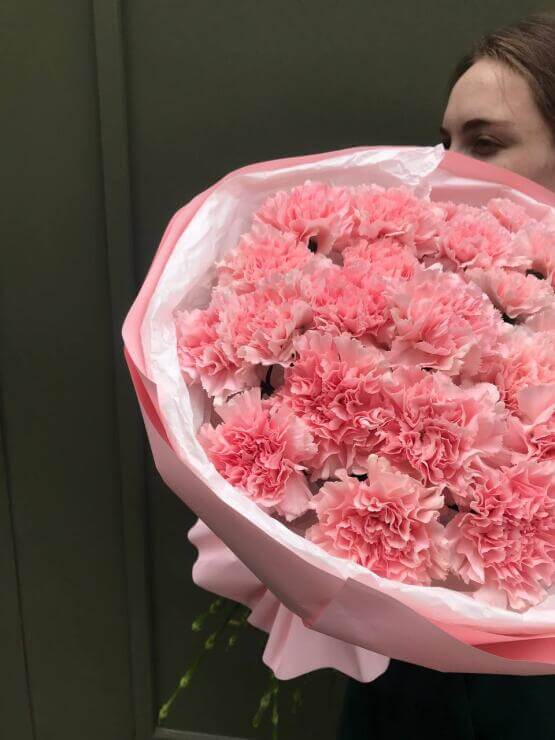 Моно розовых диантусов