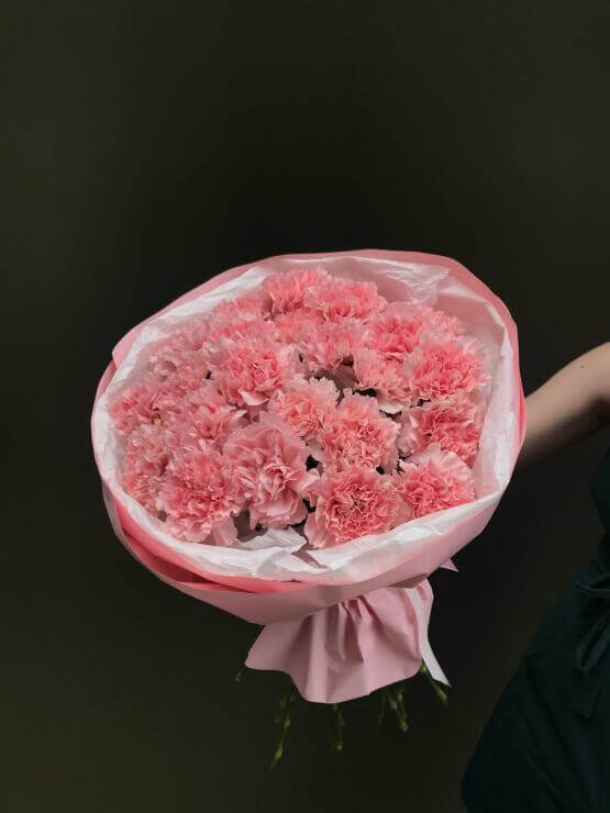 Моно розовых диантусов