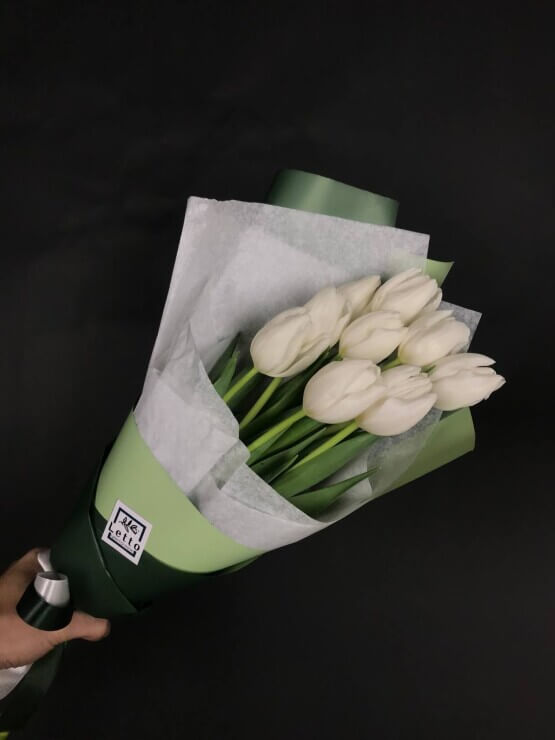 Моно белые тюльпаны