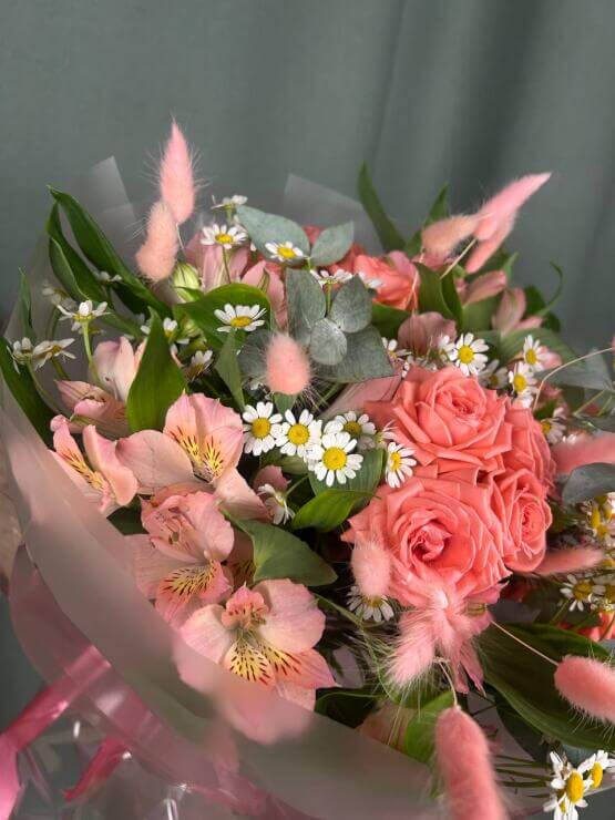 Связанные солнцем