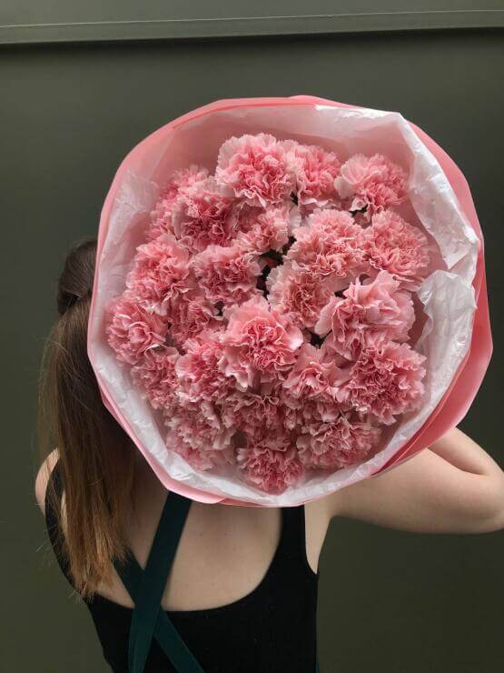 Моно розовых диантусов