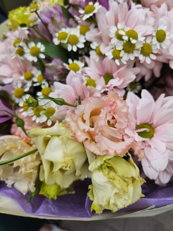 Оазис Цветов