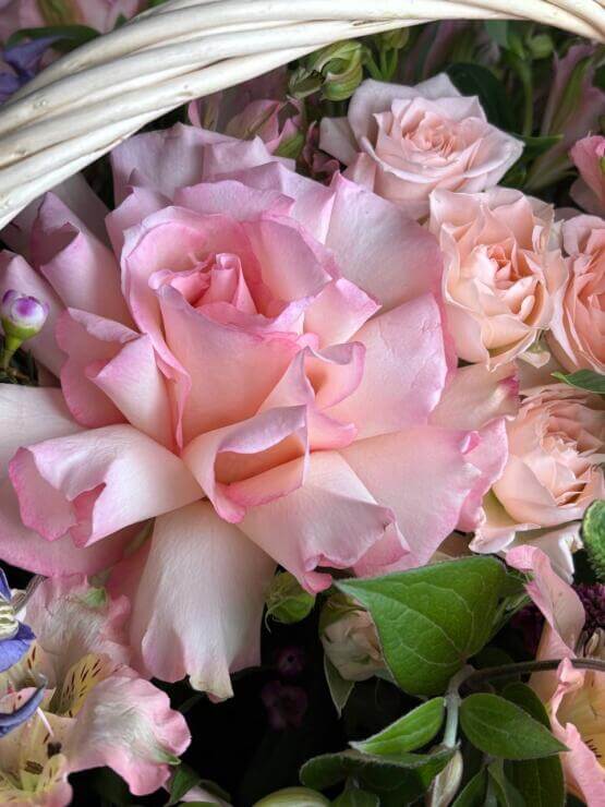 Корзина "Вся моя нежность"