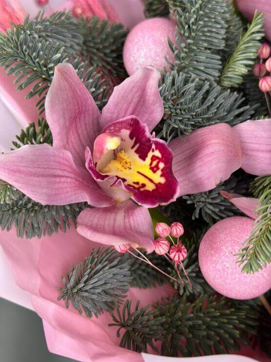 Предвкушение