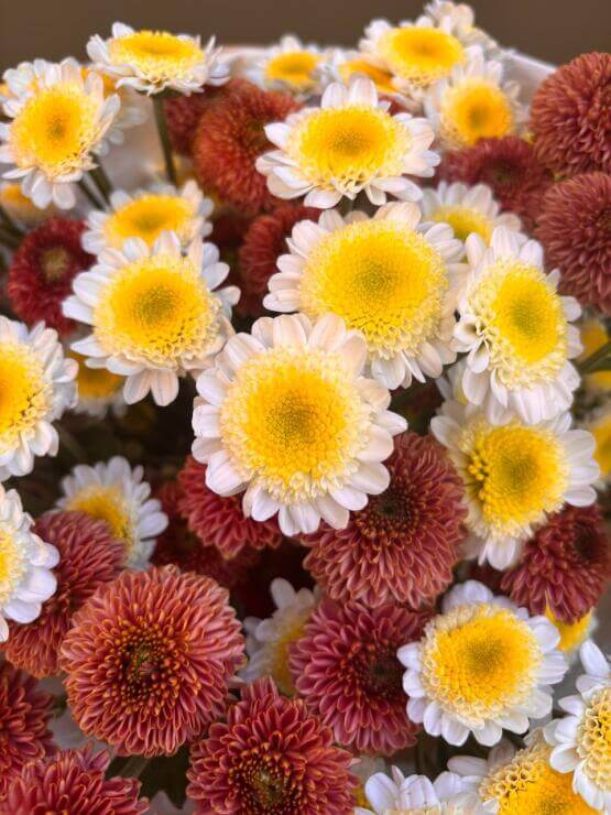 Вдохновение природы