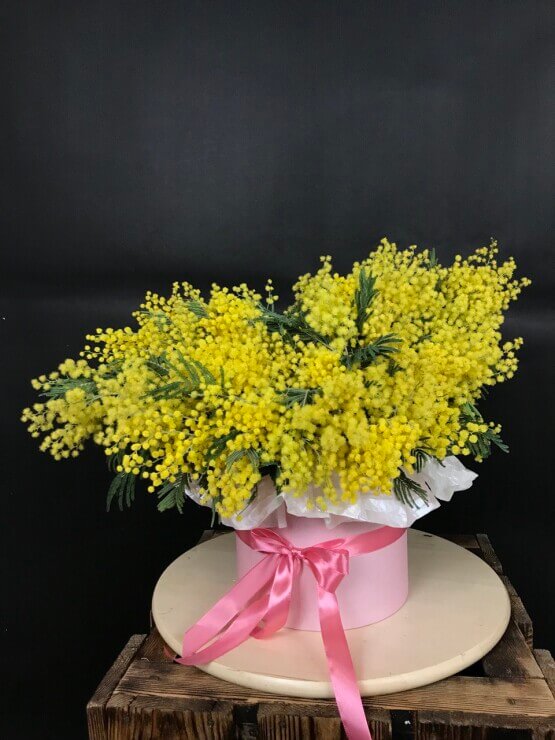 Цитрусовое счастье